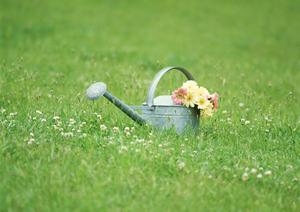 釣り船や屋形船の利用ができる深川吉野屋