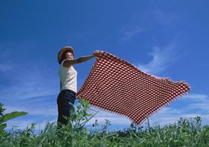 業務効率を劇的に向上させる！DM発送代行サービスの選び方と成功事例